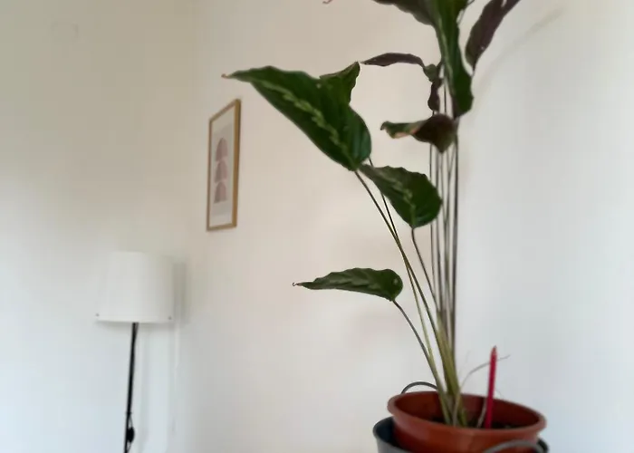 Lejlighed Sunny Podgorica